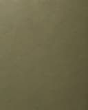 Roman clay texture sample in matte olive green with soft, suede-like movement.